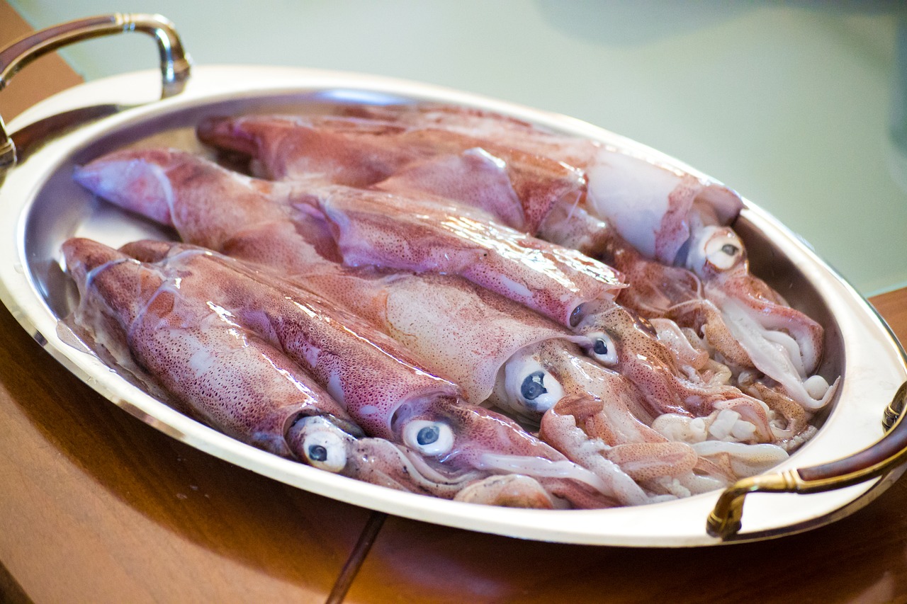 calamari, sea food, squid-2942624.jpg